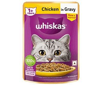 Cat Food