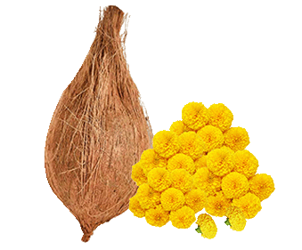 Fresh Fruits & Flowers