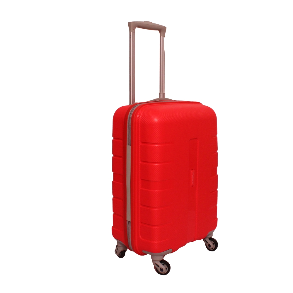 Dmart trolley bags hot sale