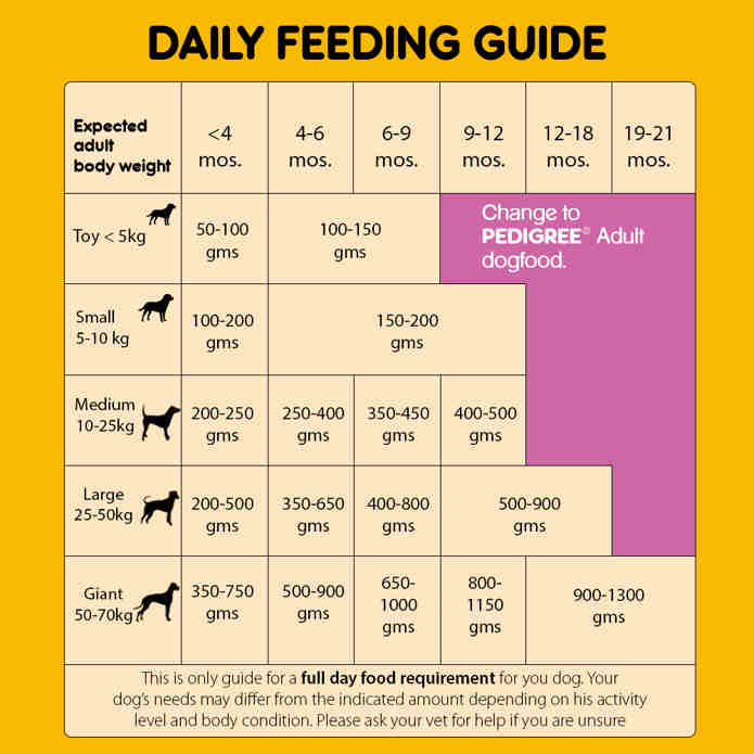 Pedigree price 2024 in dmart