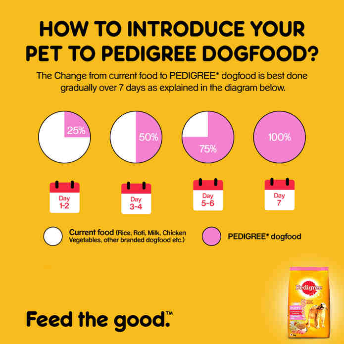 Pedigree price 2025 in dmart