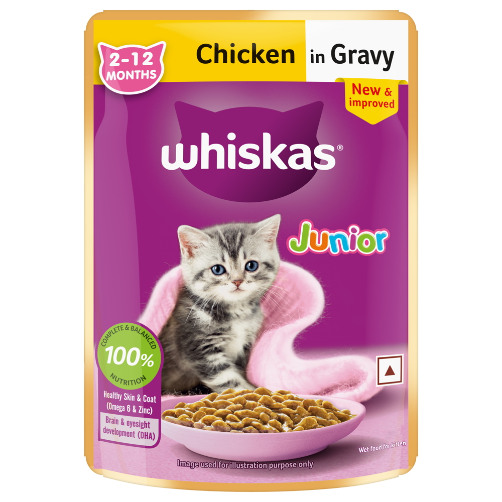 Kitten gravy food hotsell